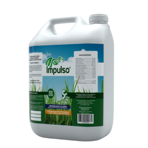 impulso5l