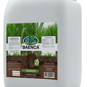 baenca20l